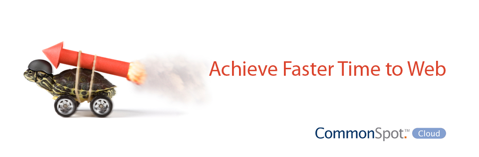 Faster Time to Web