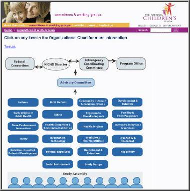 Ncs Organisation Chart