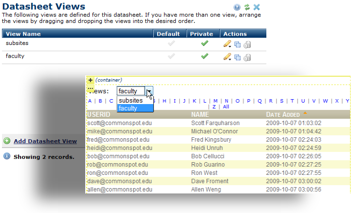 Datasheet Views