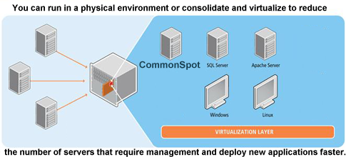 Dedicated or Virtual Server Environment