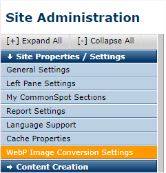 Site-wide WebP conversion settings